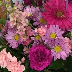 Meet your Posher, Arica